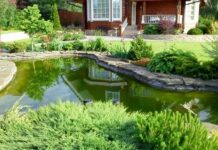 Технология строительства искусственных и декоративных водоемов