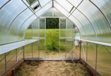 Как выбрать теплицу