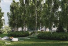 Ландшафтный дизайн дачного участка