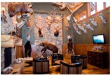 Чучела животных в оформлении интерьеров