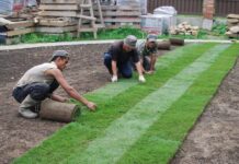 Как выполняется укладка газона?