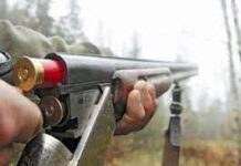 Какое ружье выбрать начинающему охотнику?