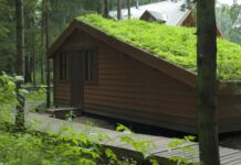 Зеленая крыша: технология устройства травяной кровли