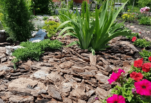 Как подготовить кору к мульчированию?