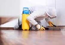 Что нужно знать о дезинфекции квартиры?
