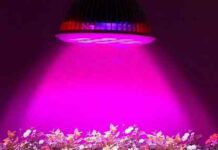 Samsung квантум борд:сферы применения