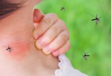 Эффективность фумигации комаров