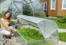 Теплицы и парники для дачи: характеристики