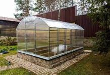 Как выбрать теплицу для дачного участка?