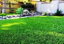 Какие газоны относятся к декоративным?