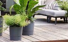 Как выбрать идеальный горшок для цветов?