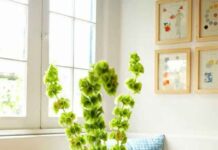 Дизайн интерьера: советы и идеи