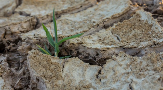 5 показателей почвы, которые вы должны знать, прежде чем приступать к посадкам 