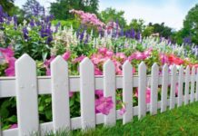 Пластиковые садовые декоративные ограждения и их применение в саду, на дачном участке