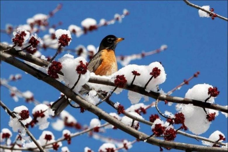 
Гороскоп от Ирины Богдан на 14 декабря 2023 года для всех знаков зодиака                