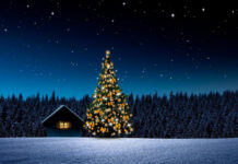 Крупные игрушки и гирлянды: как нарядить елку на участке