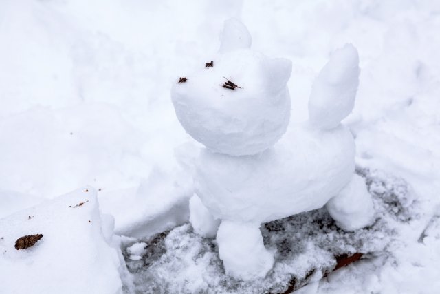 Самые необычные снеговики – удивите гостей загородного участка 