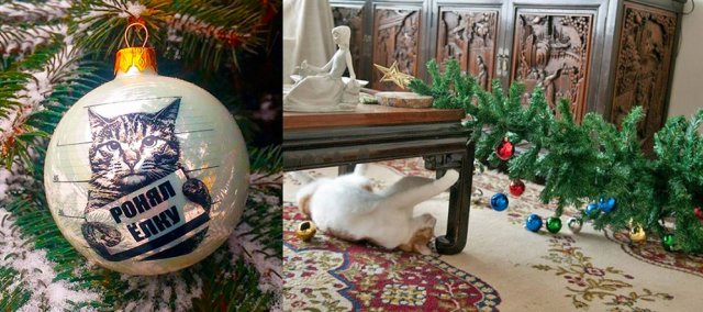 Спасти новогоднюю елку от кота – выполнима ли "миссия"? 