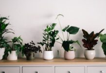 Лайфхак: добавьте летние элементы в интерьер квартиры