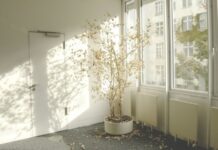 Почему мы не любим убираться дома. И как с этим справиться