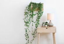 5 простых способов освежить интерьер, не прилагая больших усилий