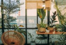 Какие растения нельзя держать в спальне?