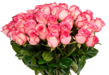 Букет роз — лучшее, что можно подарить женщине