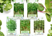 Зелень от Агрофирмы «Поиск» богатство пользы и витаминов