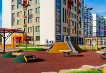 Как правильно выбрать оборудование для дрессировки собак?