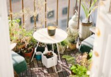 Как превратить лоджию в оранжерею: 7 полезных советов по обустройству и озеленению в квартире