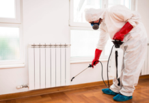 Порядок проведения дезинсекции