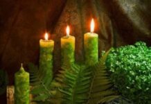 Магические свечи с травами: использование, свойства и ритуалы