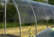 Какой поликарбонат выбрать для теплицы