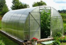 Садовые теплицы: почему выбирают поликарбонат