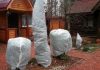 Нужно ли утеплять деревья на зиму: простая инструкция для начинающих