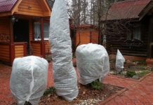 Нужно ли утеплять деревья на зиму: простая инструкция для начинающих