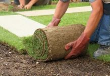 Укладка рулонного газона: особенности и тонкости процесса