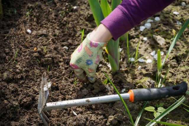 25 дел, которые нужно сделать в саду, огороде и цветнике в марте 