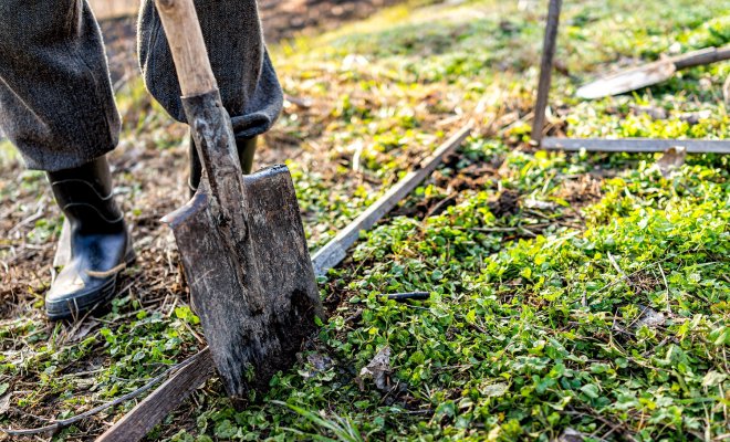 5 весенних дел, которые избавят грядки от сорняков