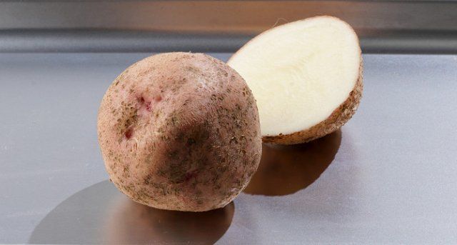 Приготовление картофельного пюре. Картофель пюре с мясом. Пюре роллтон. Хранение картофельного пюре. Срок годности картофельного пюре в холодильнике.