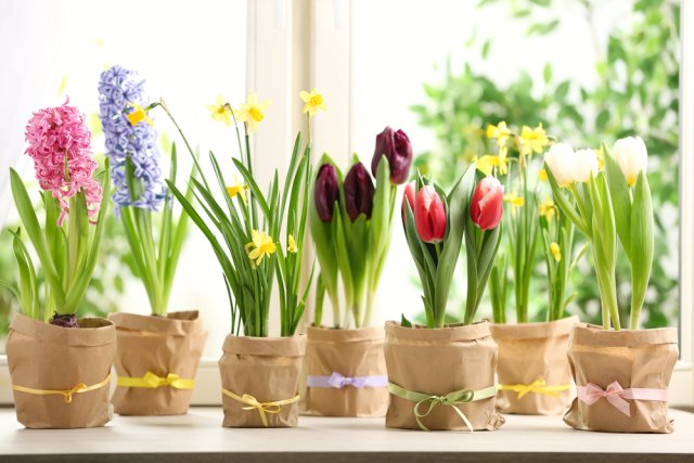 7 способов приблизить весну