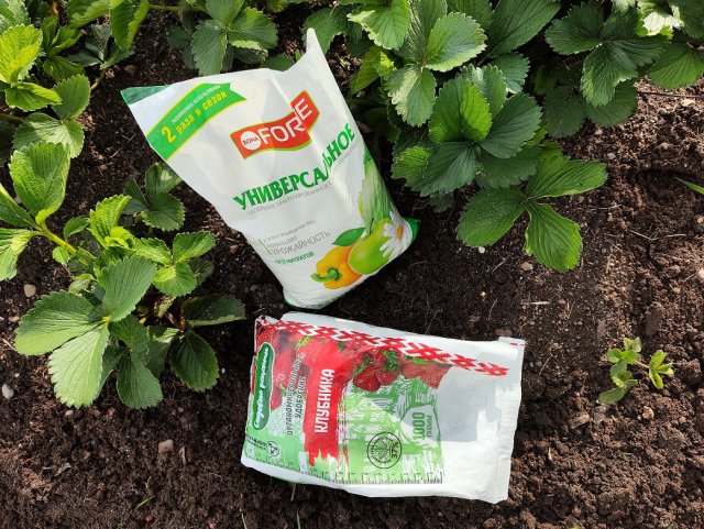 Удобрение клубники в конце августа. Удобрение для клубники. Полный комплекс удобрений для клубники. Удобрения пермагробизнес. Подкормка ремонтантной клубники.