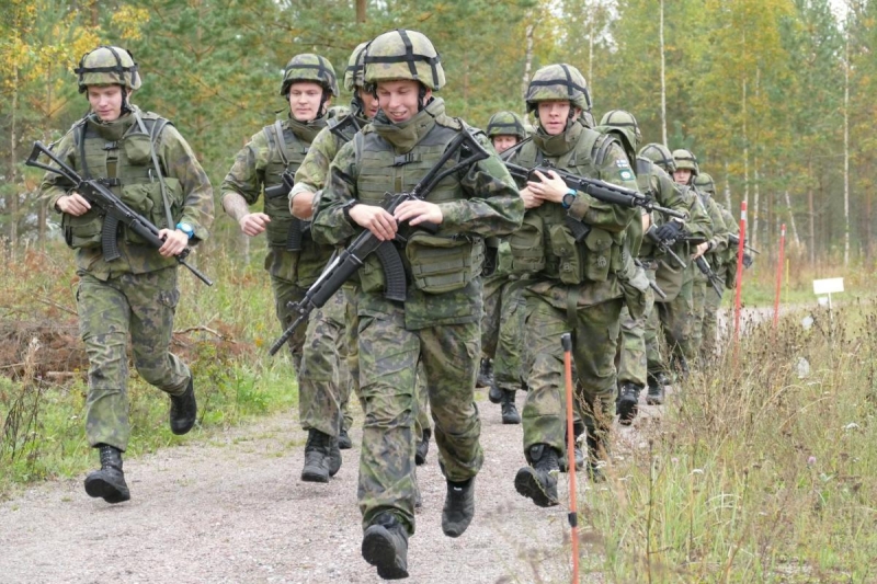 Депутат Чепа: Заявление Финляндии о вводе войск на Украину — пиар