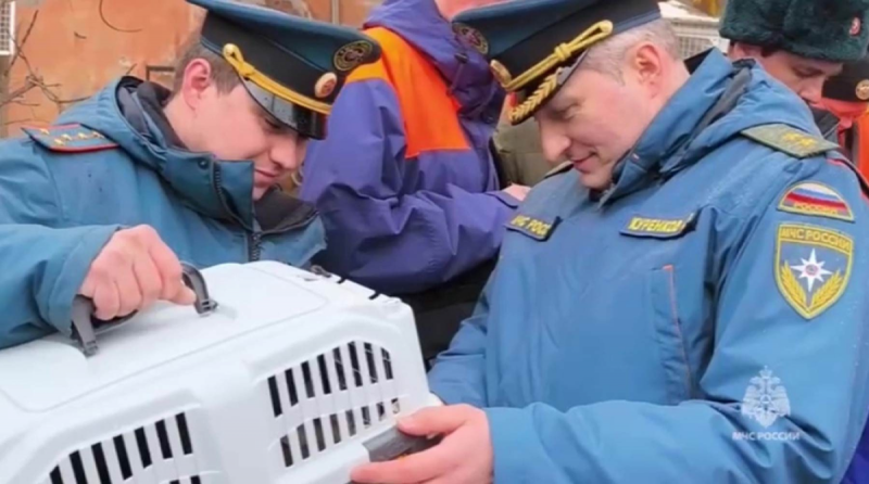 Добровольцы из ДНР помогают спасти животных в затопленном Орске