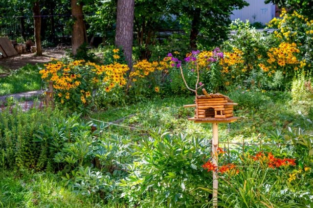 Как быстро преобразить сад: простые идеи с фото 