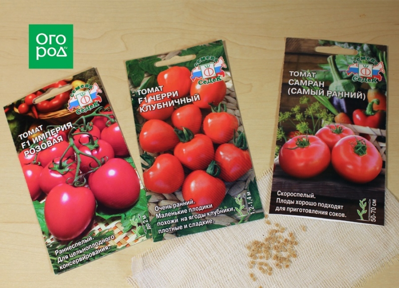Как посеять на рассаду томаты и когда это сделать – пошаговый мастер-класс с фото 