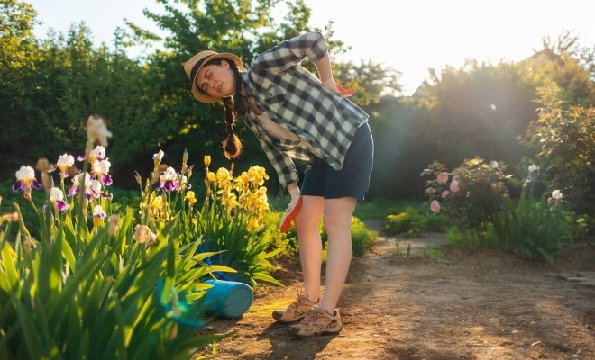 Как работать на огороде без боли в спине