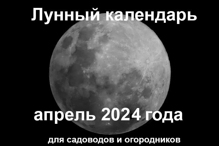 Лунный календарь садовода и огородника на апрель 2024 года