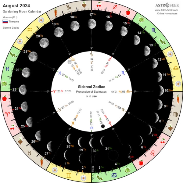 Лунный календарь садовода и огородника на август 2024 года