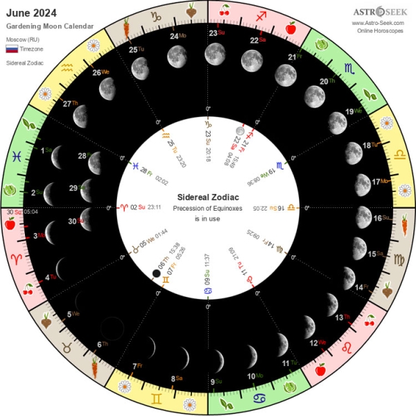 Лунный календарь садовода и огородника на июнь 2024 года
